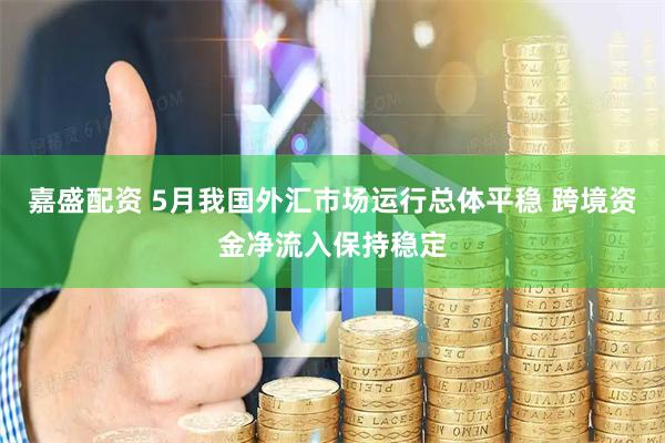 嘉盛配资 5月我国外汇市场运行总体平稳 跨境资金净流入保持稳定